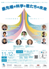 チラシPDF