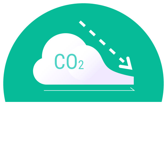 What's Carbon Neutral?